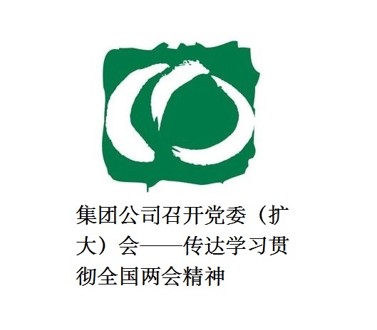 BEVITOR·伟德国际召开党委（扩大）会——传达学习贯彻全国两会精神