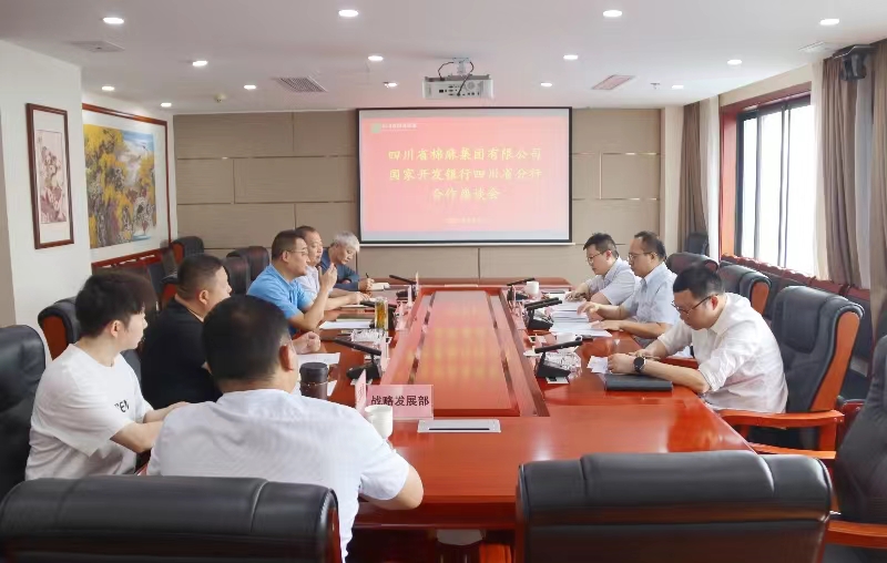 BEVITOR·伟德国际召开与国开行四川省分行合作座谈会