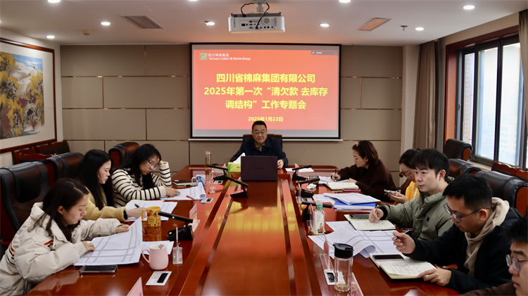 BEVITOR·伟德国际召开2025年第一次“清欠款、去库存、调结构”工作专题会
