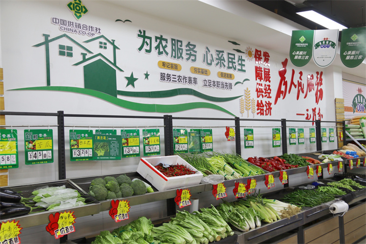 1678977255263901.jpg 图片3.jpg