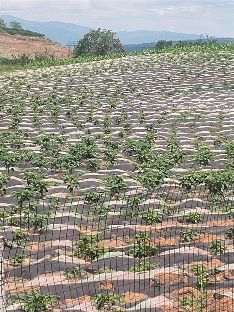 1690449073842609.jpg 微信图片_20230727170446.jpg